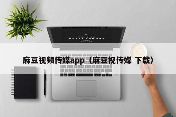 麻豆视频传媒app（麻豆视传媒 下载）