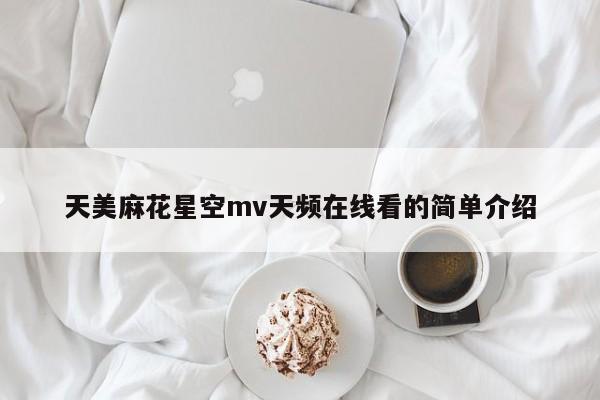 天美麻花星空mv天频在线看的简单介绍